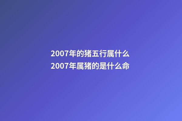 2007年的猪五行属什么 2007年属猪的是什么命-第1张-观点-玄机派